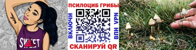 Галлюциногенные грибы ЛСД mega зеркало Заволжье