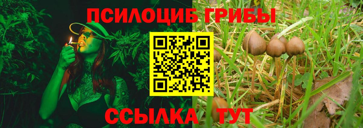 Псилоцибиновые грибы GOLDEN TEACHER  Псилоцибиновые грибы Psilocybine cubensis  где можно купить   Вход с VPN  Заволжье 