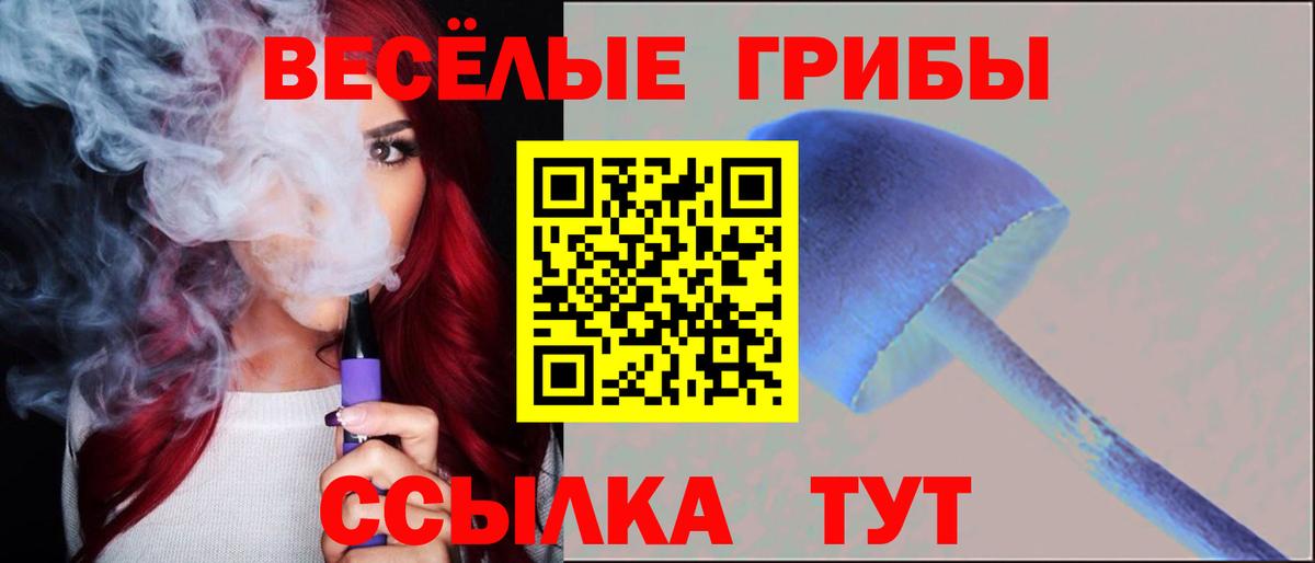 Галлюциногенные грибы Magic Shrooms Заволжье